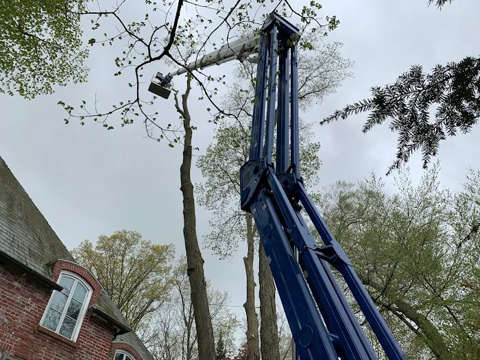 Michiana Tree Works Inc Picture 1