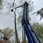 Michiana Tree Works Inc