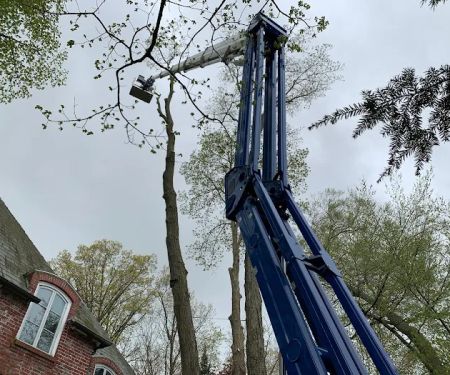 Michiana Tree Works Inc