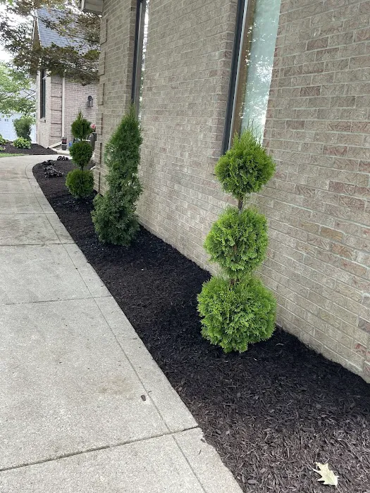 Lacey's Landscaping Picture 1