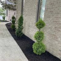 Lacey's Landscaping ico