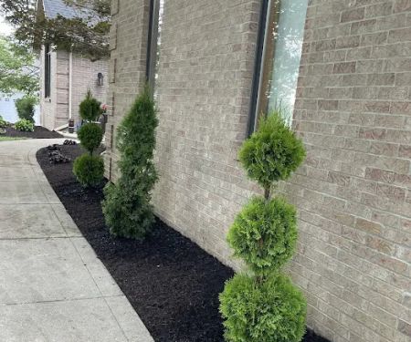 Lacey's Landscaping
