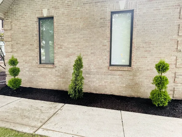 Lacey's Landscaping Picture 4