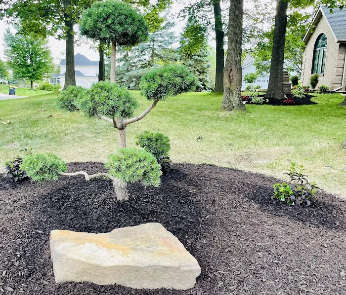 Lacey's Landscaping Picture 8