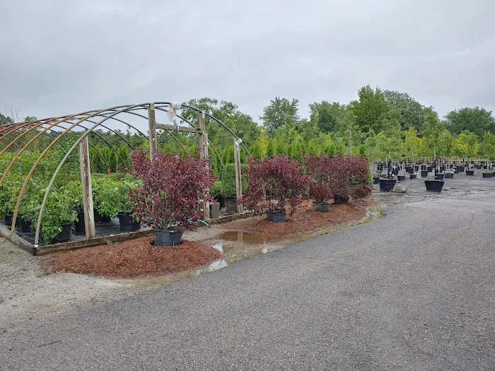 Hulen's Landscaping Inc Picture 7
