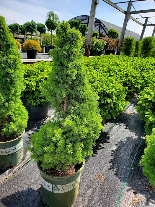 Hulen's Landscaping Inc Picture 10