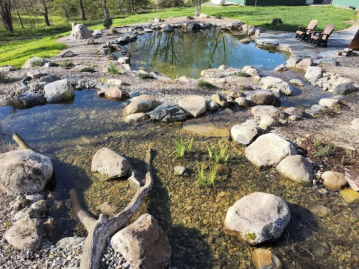 Premiere Aquascapes Picture 10