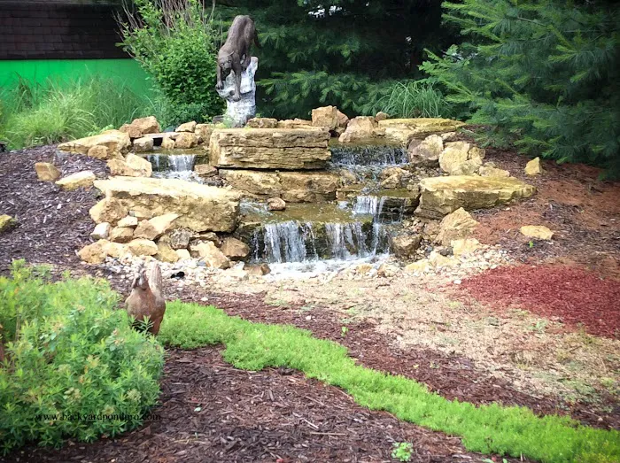 Premiere Aquascapes Picture 9