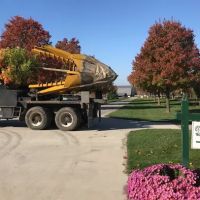 Dogwood Hills Tree Farm ico