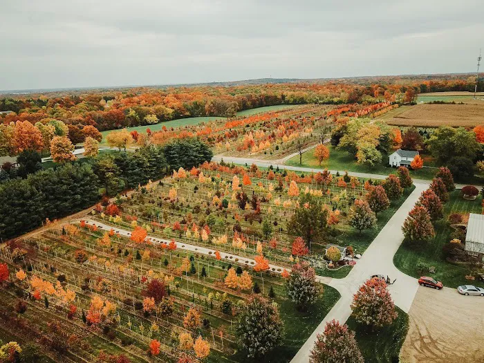 Dogwood Hills Tree Farm Picture 3