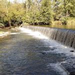 Shelby Patio & Landscape