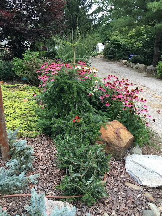 Blue River Nursery Picture 2