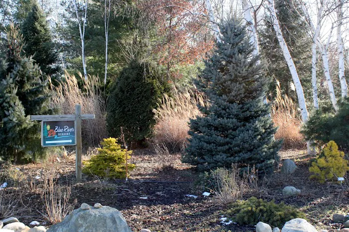 Blue River Nursery Picture 3