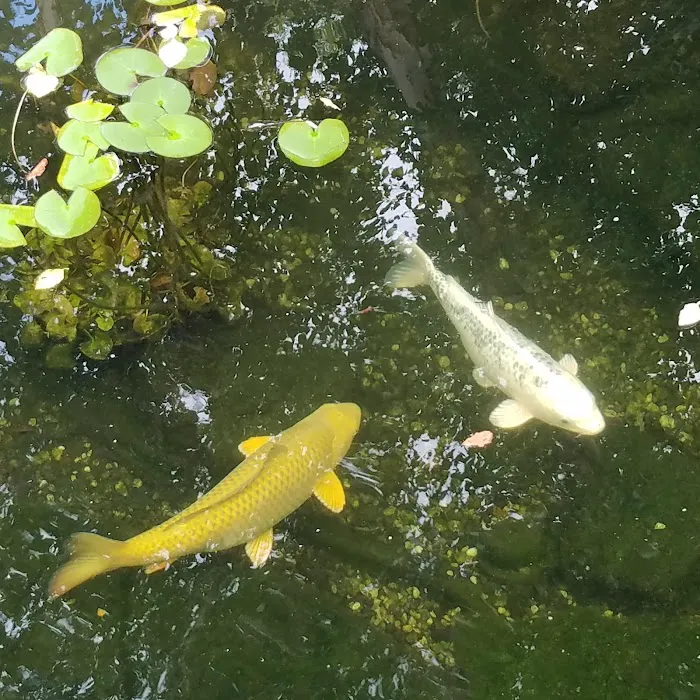 3E Industries & Woodland Water Gardens & Nursery Picture 2