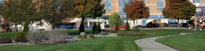 Clounie Landscaping Picture 1