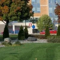 Clounie Landscaping ico