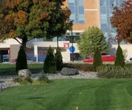 Clounie Landscaping