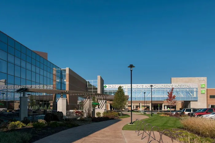 Clounie Landscaping Picture 2