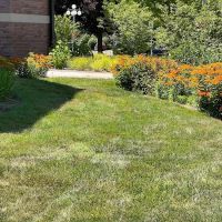 Sanctuary Native Landscapes, LLC ico