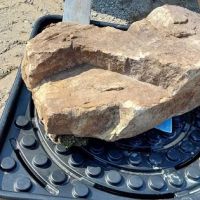 Felger's Peat Moss ico
