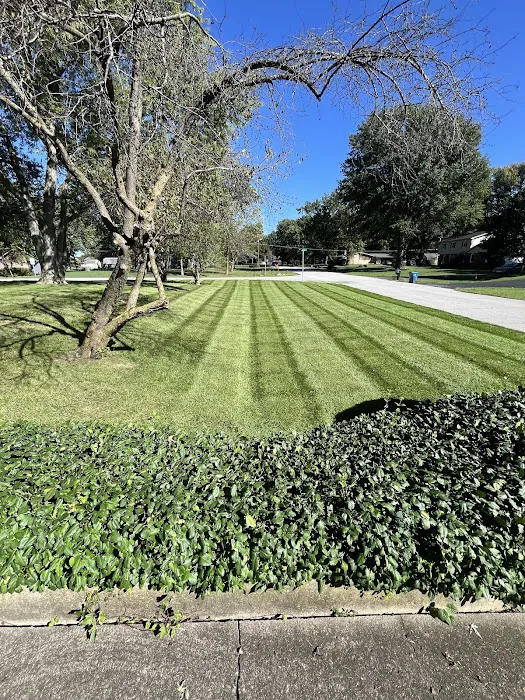 Freedom Lawn And Landscaping LLC Picture 3