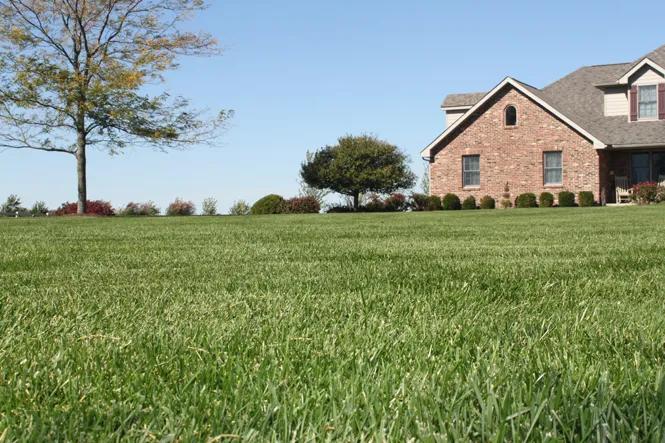 List Lawn Care Inc. Picture 1