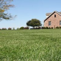 List Lawn Care Inc. ico