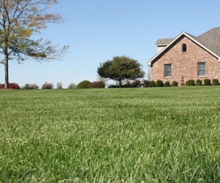 List Lawn Care Inc.