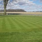 Leckron Lawn and Sports Turf