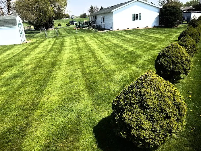 Clean Cut Lawn Care LLC Picture 5