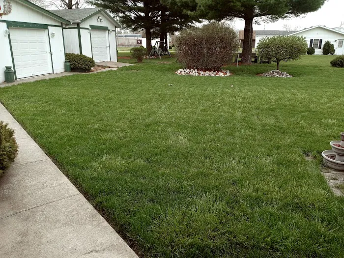 Signature Lawn & TreeMasters - Marion Picture 3