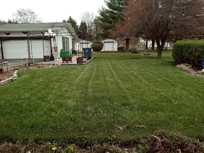 Signature Lawn & TreeMasters - Marion Picture 1