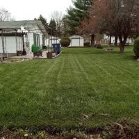 Signature Lawn & TreeMasters - Marion ico