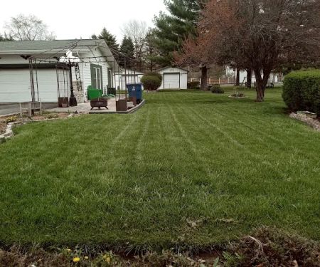 Signature Lawn & TreeMasters - Marion