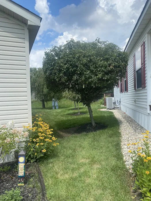 Lasters Lawncare and Landscape LLC Picture 8