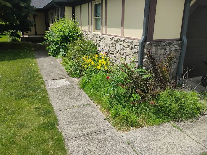 Andys lawns Picture 10