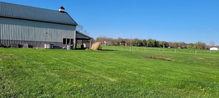 Mow Convenient LLC - Lawn & Landscape Services Picture 9