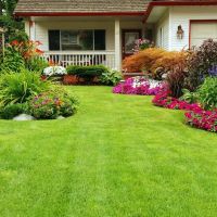 Hope Grows Indy Landscaping ico