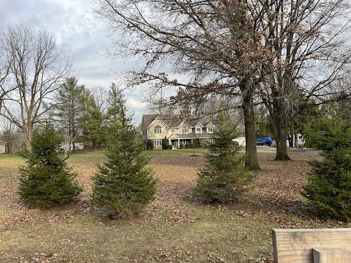Holmes Lawn and Landscape Picture 2