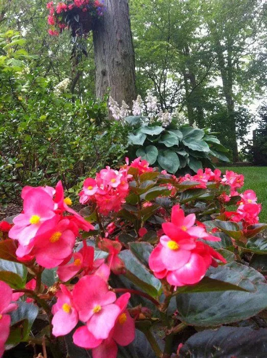 Meticulous Landscapes, Inc. Picture 3