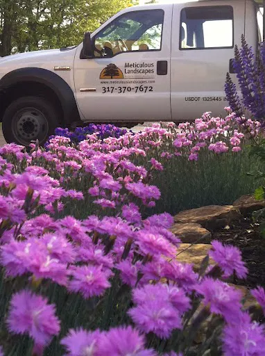 Meticulous Landscapes, Inc. Picture 6