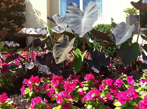Meticulous Landscapes, Inc. Picture 7