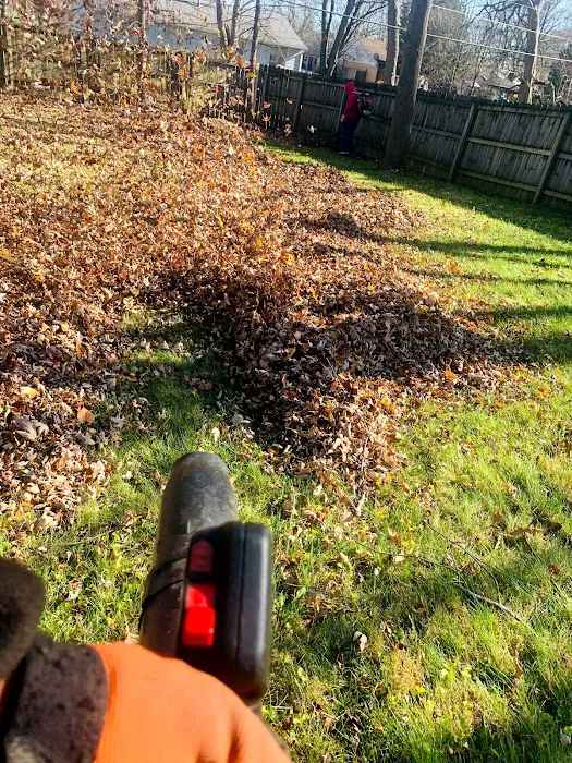 Sanchez Lawn & Landscape LLC Picture 8