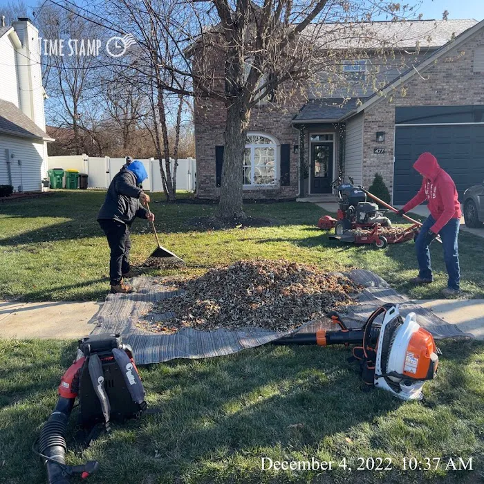 Sanchez Lawn & Landscape LLC Picture 4