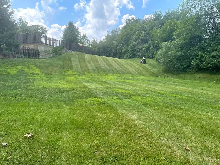 Sanchez Lawn & Landscape LLC Picture 6