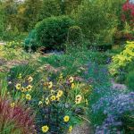 GreenLawn by Design | Westfield, IN