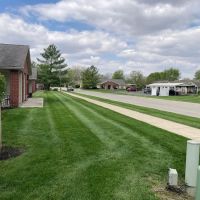 Triple Green Lawn Care ico