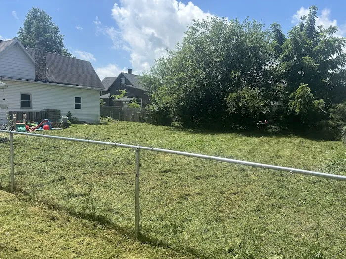 Triple Green Lawn Care Picture 3