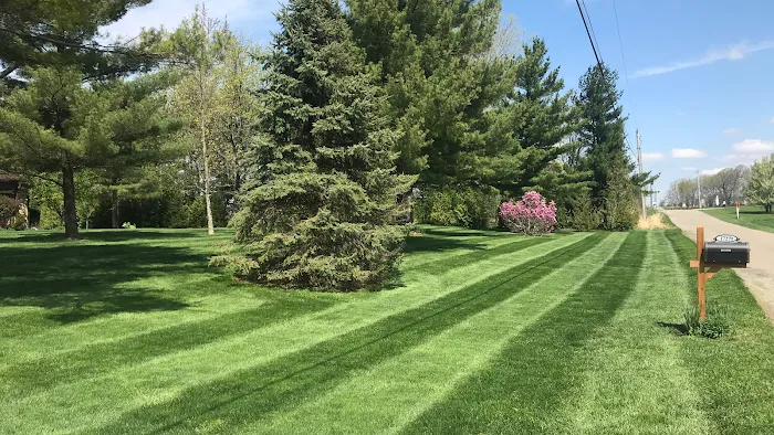 Triple Green Lawn Care Picture 6