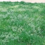 Hodges Property Management